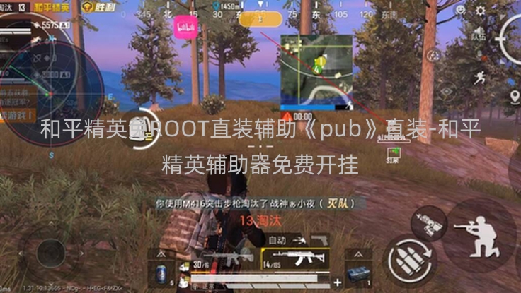和平精英免ROOT直装辅助《pub》直装-和平精英辅助器免费开挂