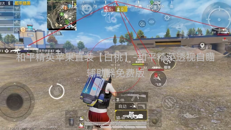 和平精英苹果直装【白桃】-和平精英透视自瞄辅助器免费版